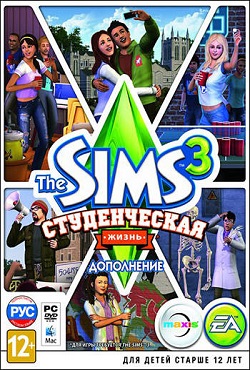 ���� 3 ������������ �����