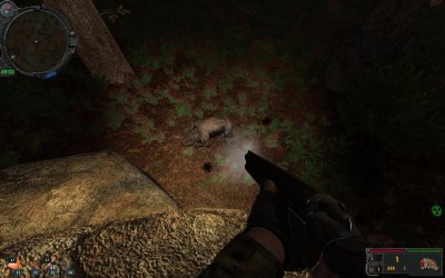 ������� ������� ���� 2